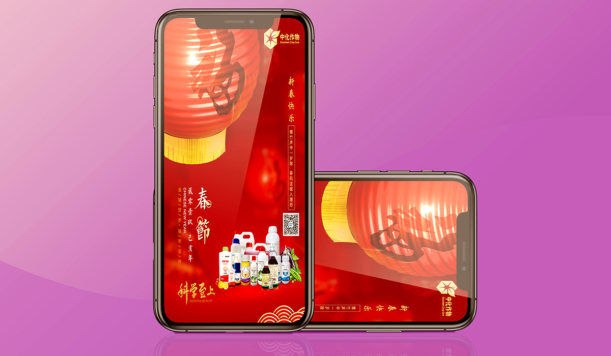 中化—春节节气海报设计