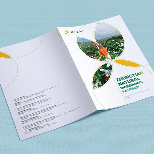 上海画册设计公司带您把握企业形象宣传册设计设计的种类有哪些?